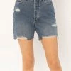 AMUSE SOCIETY Bella High-Waisted Denim Short