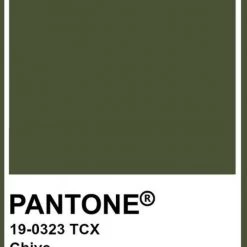 TOAST SWIM Signature Knot Top (More Colors Available)