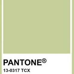 TOAST SWIM Signature String Bottom (More Colors Available)