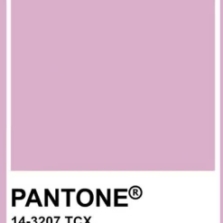 TOAST SWIM Signature Scoop Top (More Colors Available)