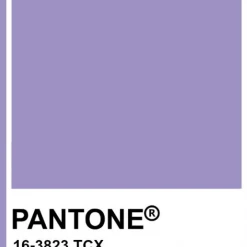 TOAST SWIM Signature String Bottom (More Colors Available)