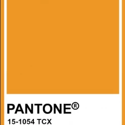 TOAST SWIM Signature High Hip One Piece (More Colors Available)