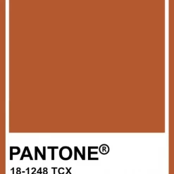 TOAST SWIM Signature Open-Side Bottom